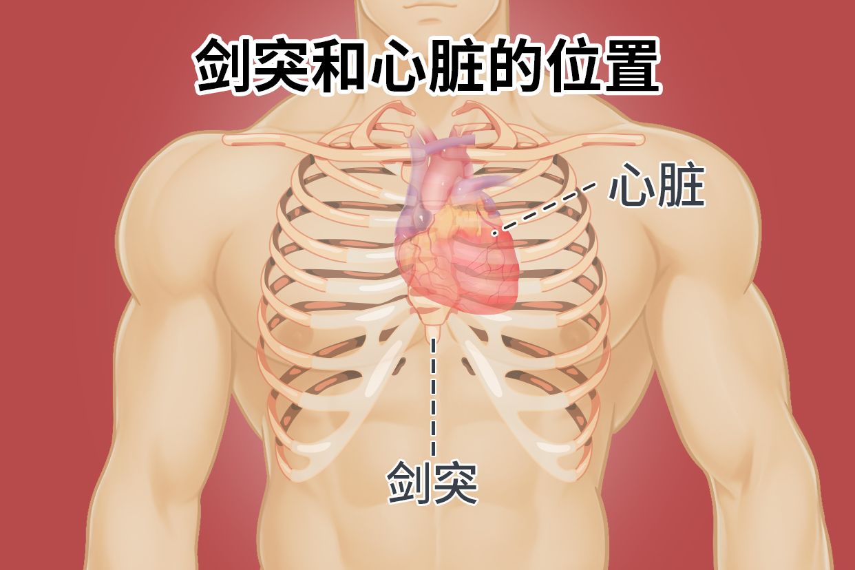 剑突和心脏的位置关系 | 百度健康·医学科普