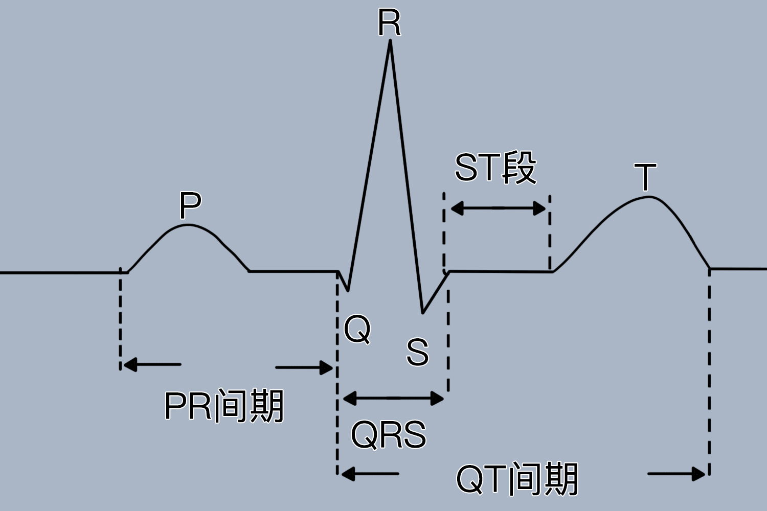 第二章 正常心电图(图1-9～1-18)-心血管-医学