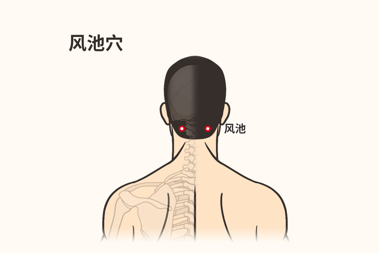 风池穴位置图