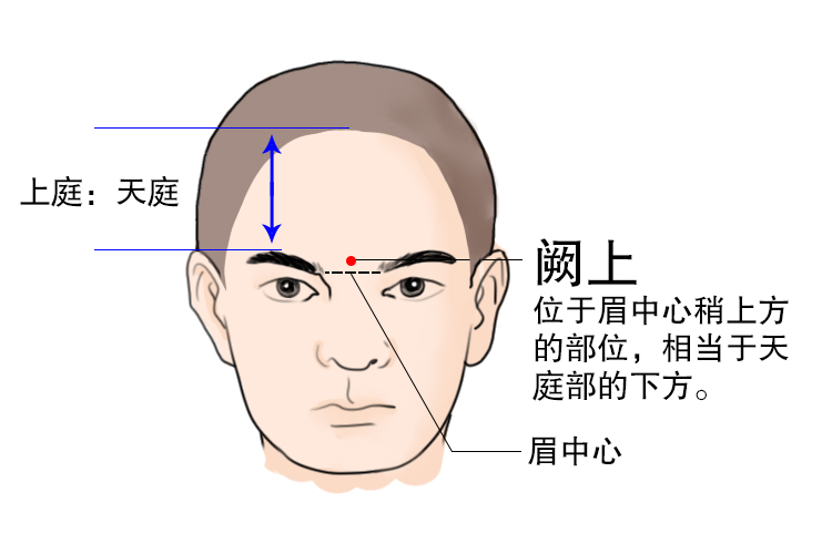 中医阙上位置图 | 百度健康·医学科普