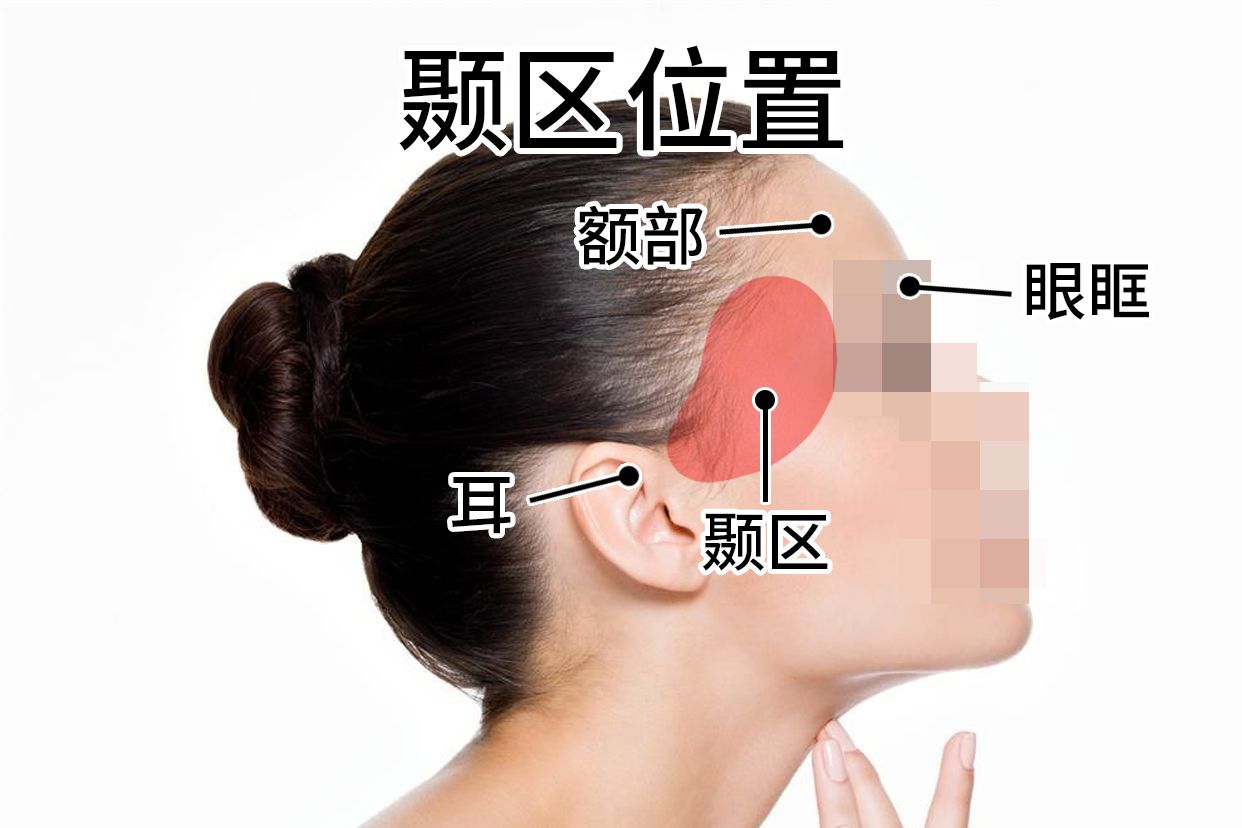 颞区的位置 | 百度健康·医学科普