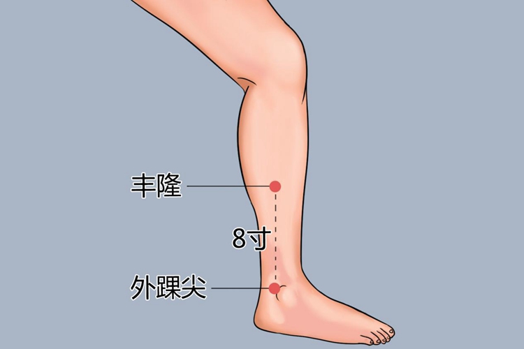 丰隆拔罐位置图