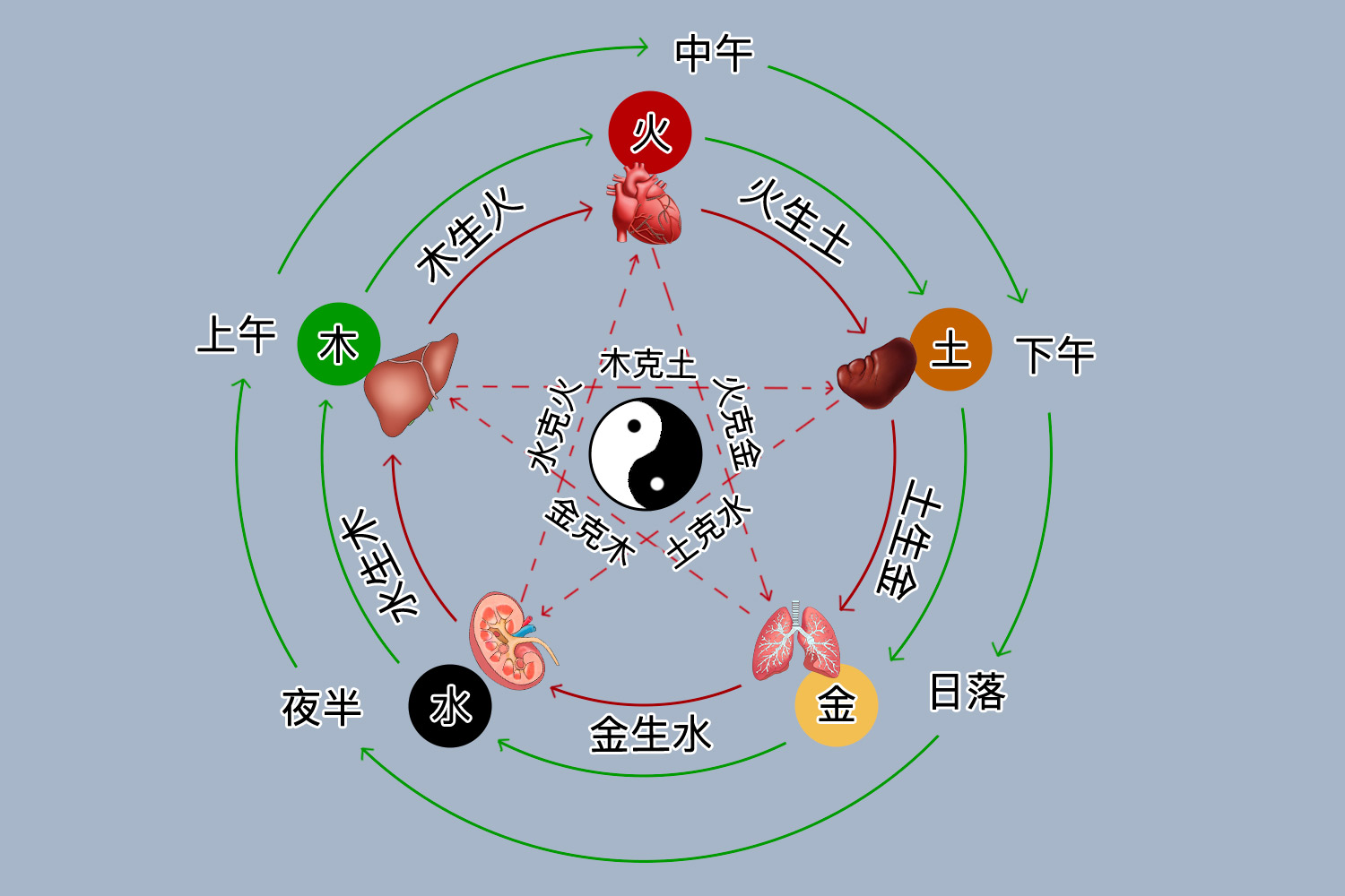 中医时辰和五脏对应图