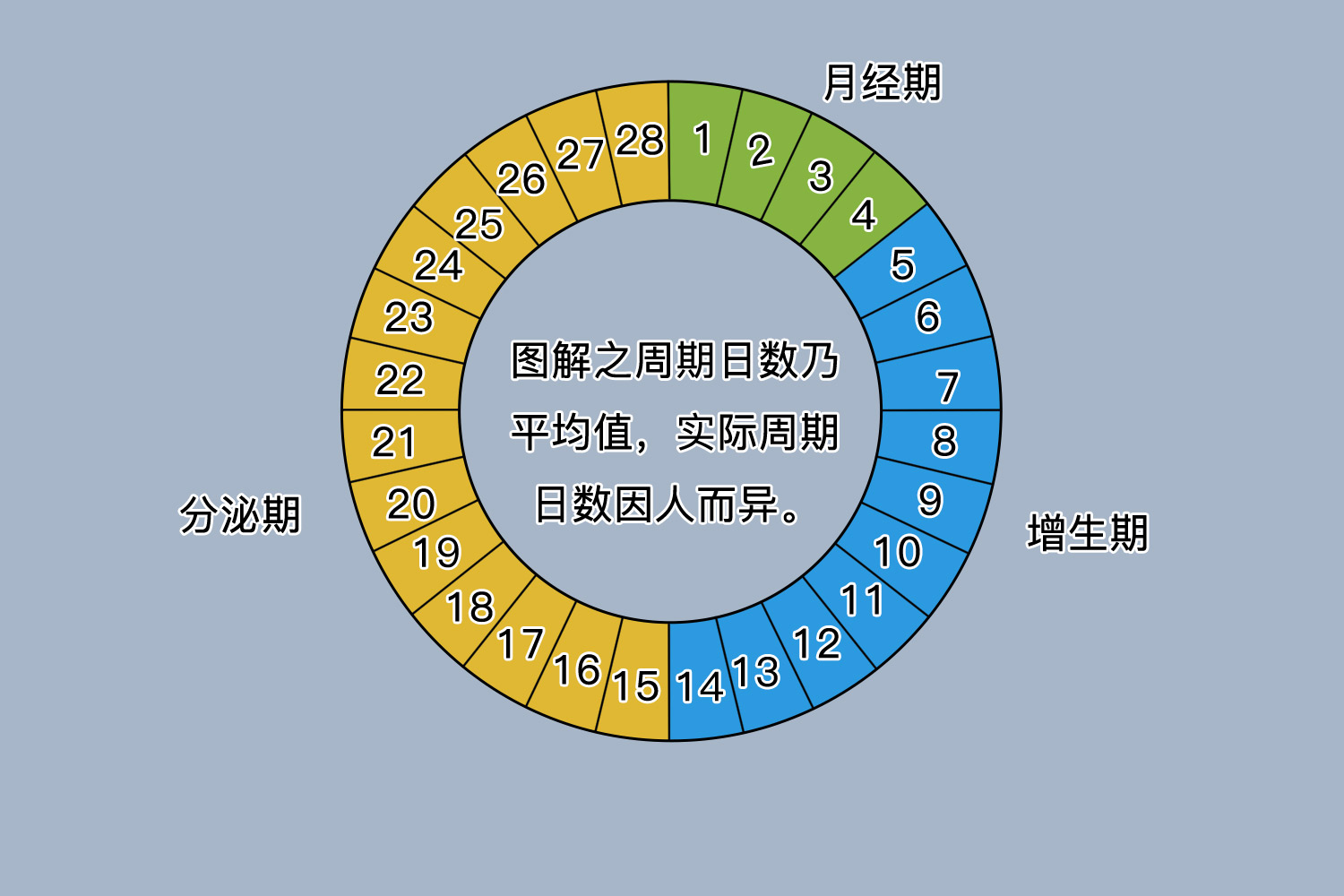 月经过程时间图解