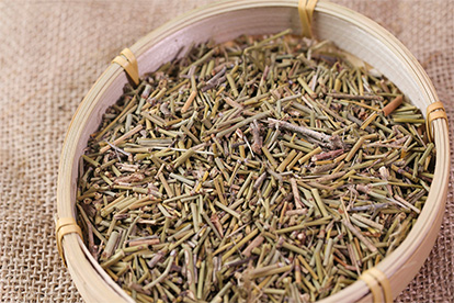 麻黄图片
