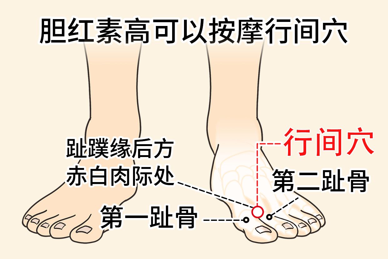 胆红素高可以按摩哪个部位 | 百度健康·医学科普