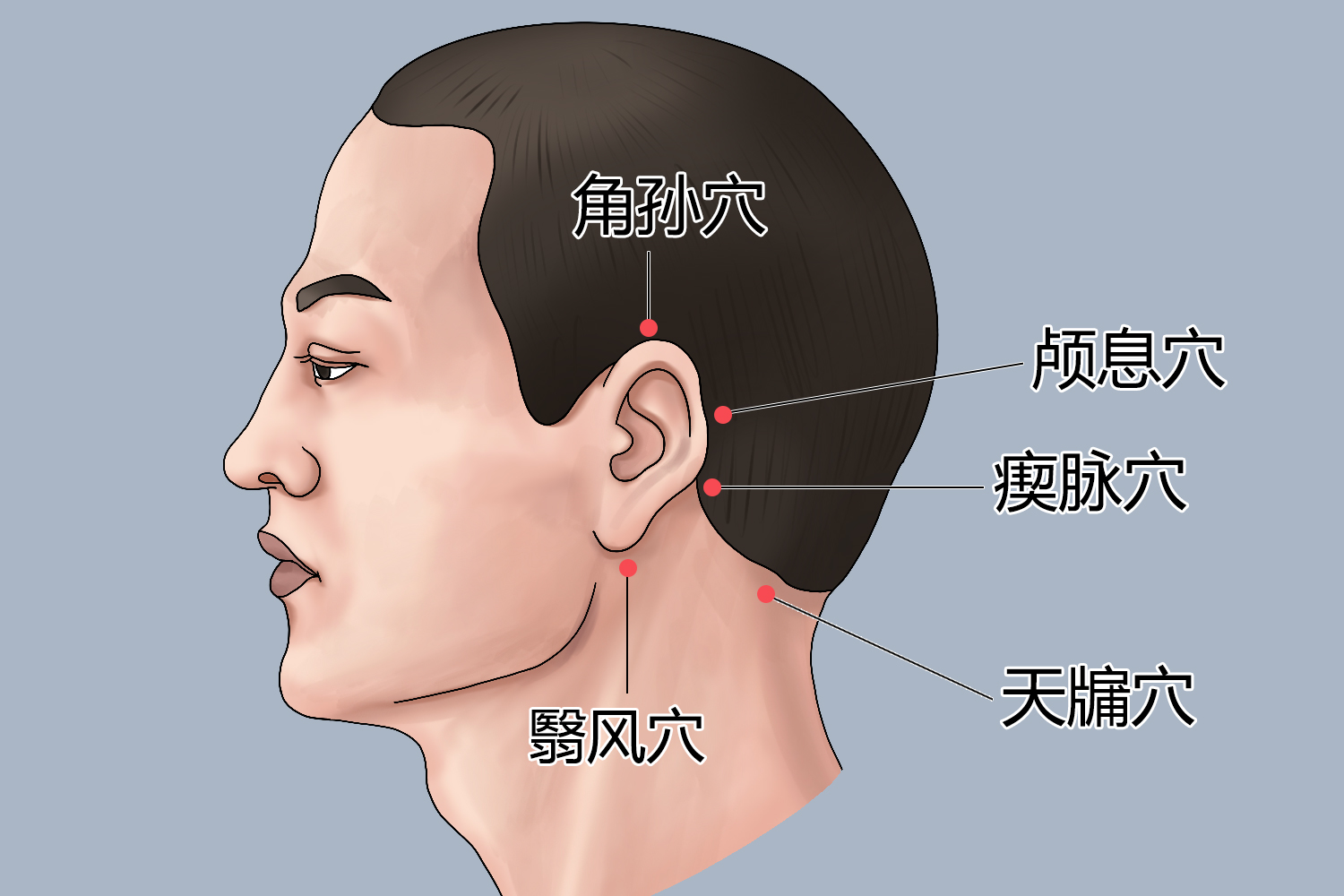 耳后三焦经位置图