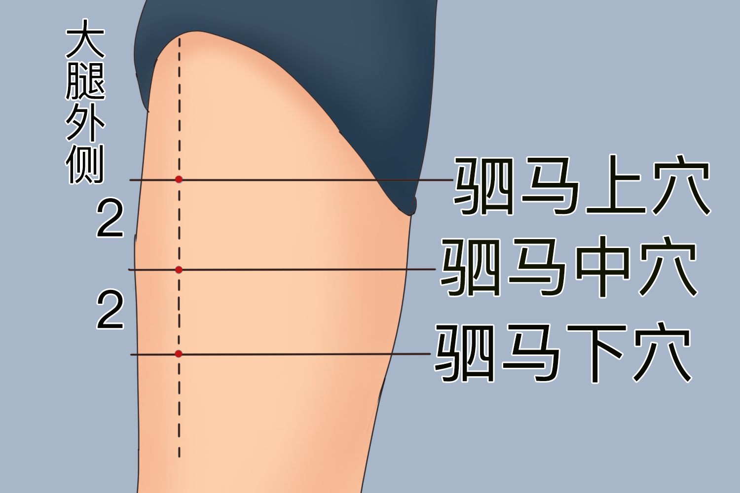 驷马 