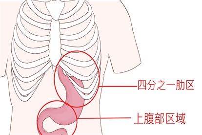 胃在身体的什么位置示意图