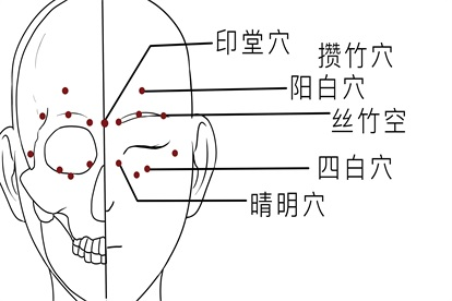 眼部穴位图
