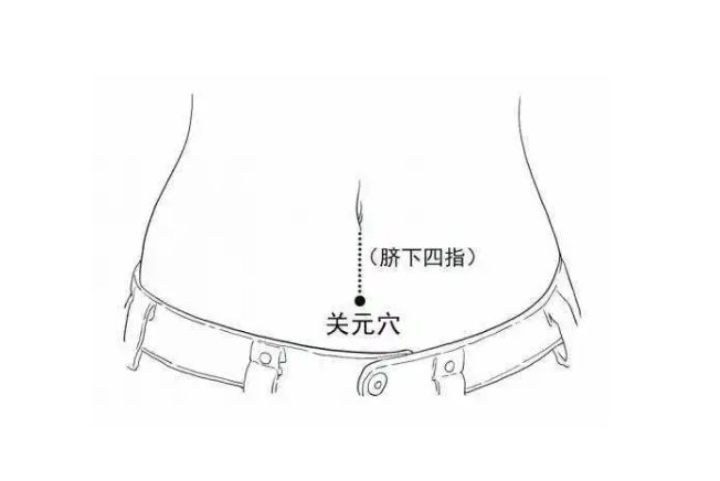 湿气重三伏贴贴哪里图片