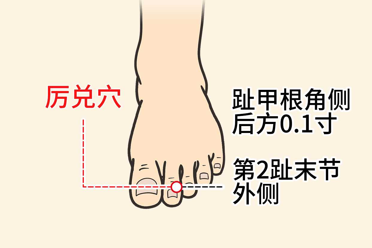 胃经的井六位置图片