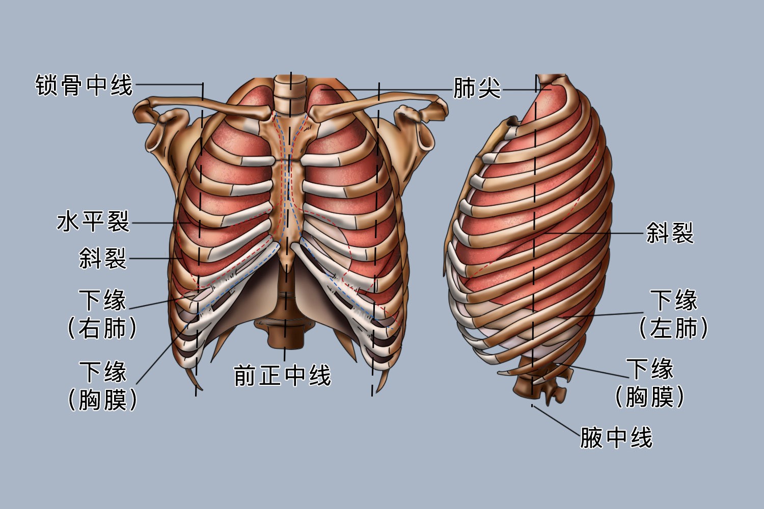 藏海花是什么时候写的