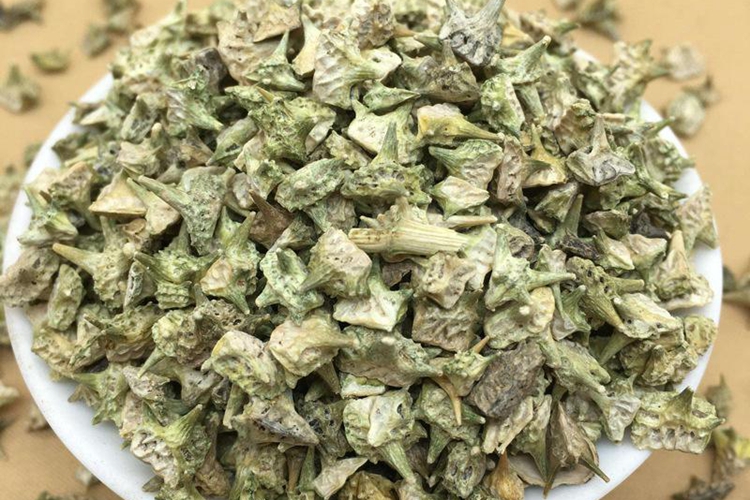 带刺的草药图片及名称图片 | 百度健康·医学科普