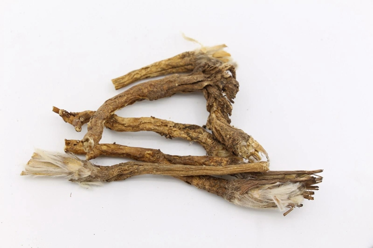 白头翁药材图