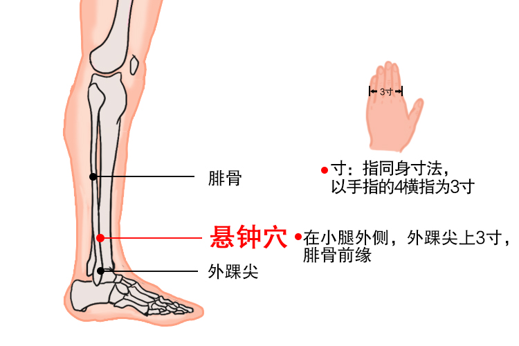 悬钟的准确位置图