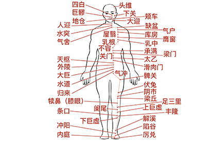 足阳明胃经的准确位置图和作用 | 百度健康·医学科普
