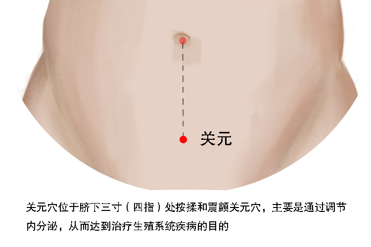 妇科按哪个部位比较好
