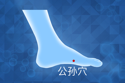 公孙的准确位置图图解