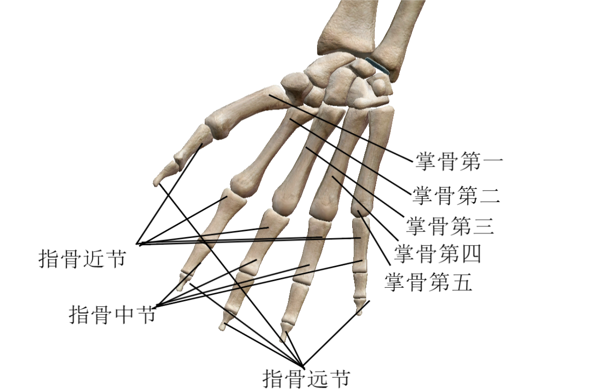 页面访问异常