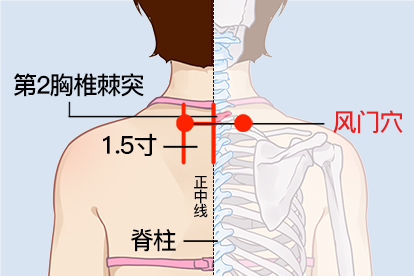 风门穴位置图