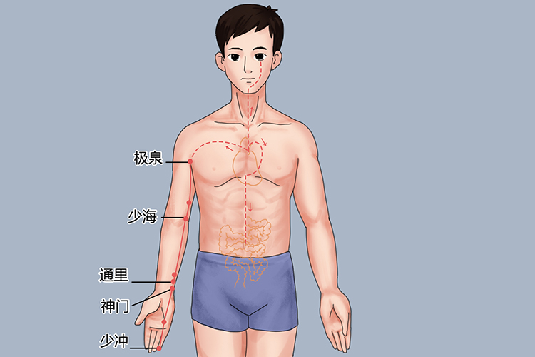 手少阴心经循行图