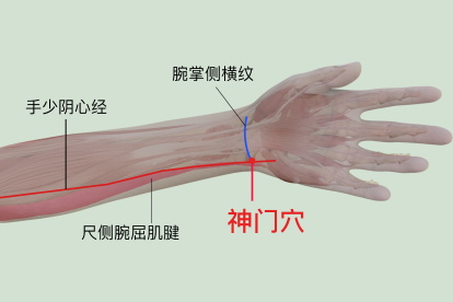 神门的准确位置图