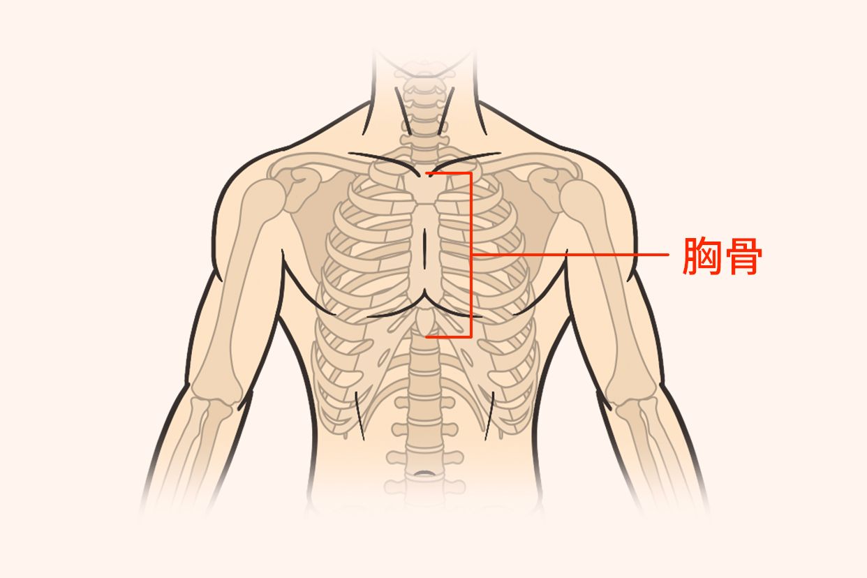 胸口中间在哪个部位图片 | 百度健康·医学科普