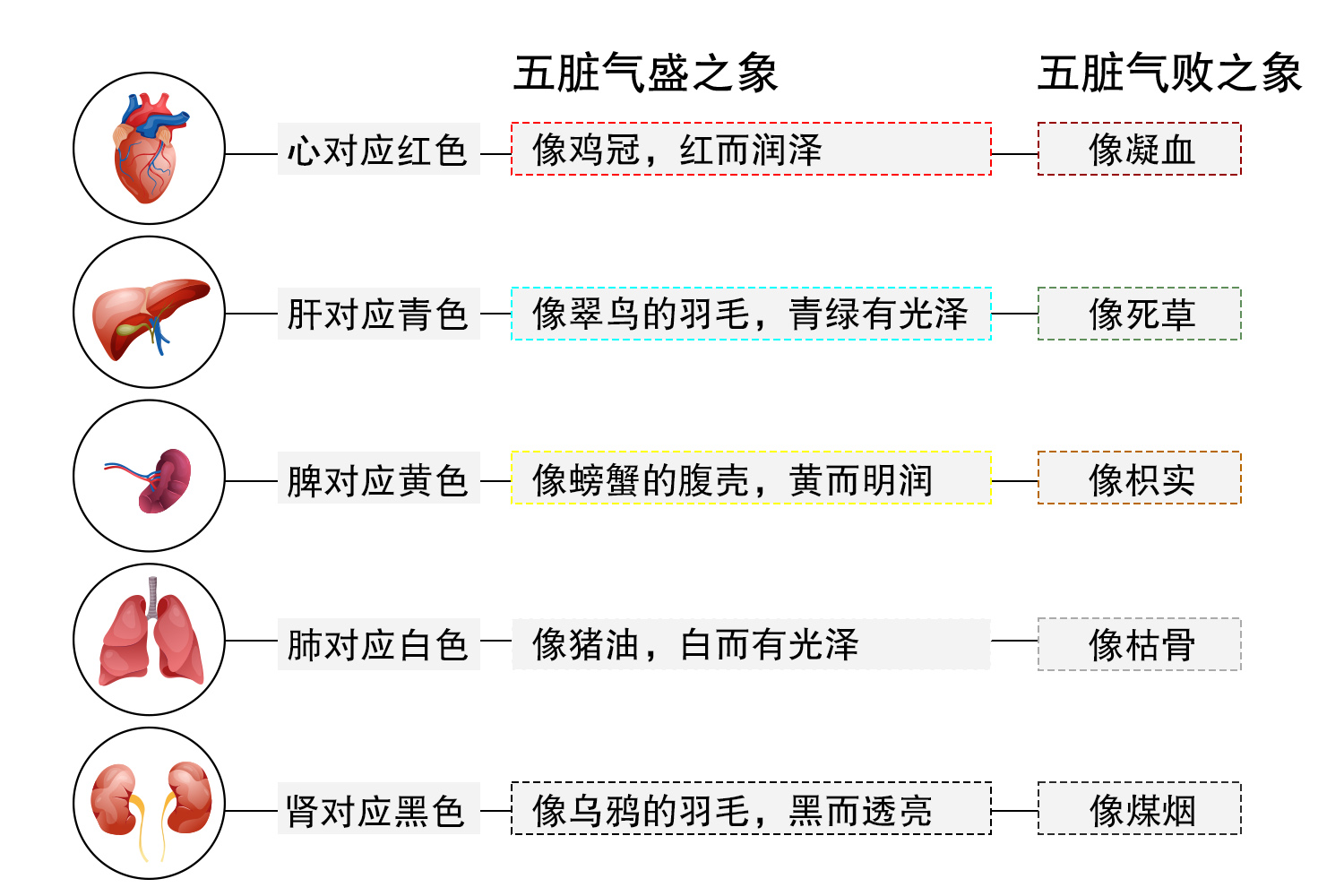 中医里五色对应的五脏 | 百度健康·医学科普