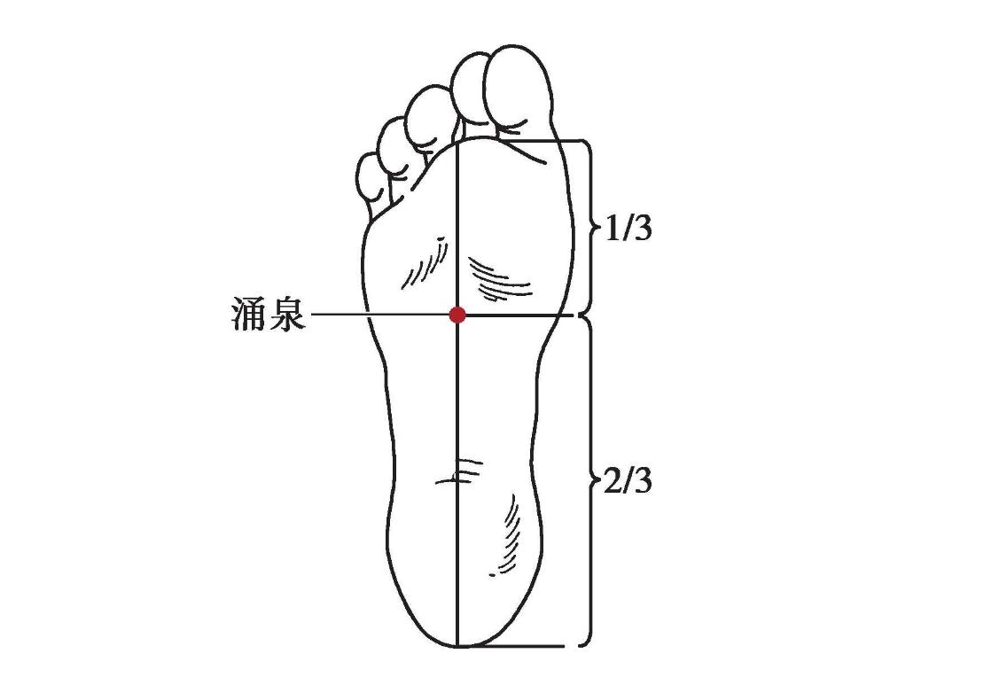腿部穴位图