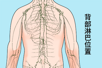 背部淋巴位置图