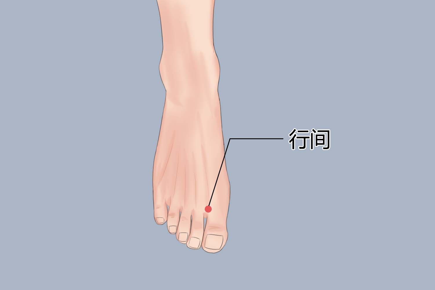 疏肝理气的按摩位置