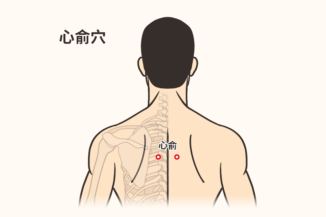 心俞的准确位置图