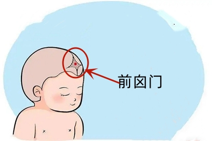 新生儿大囟门和小囟门图片