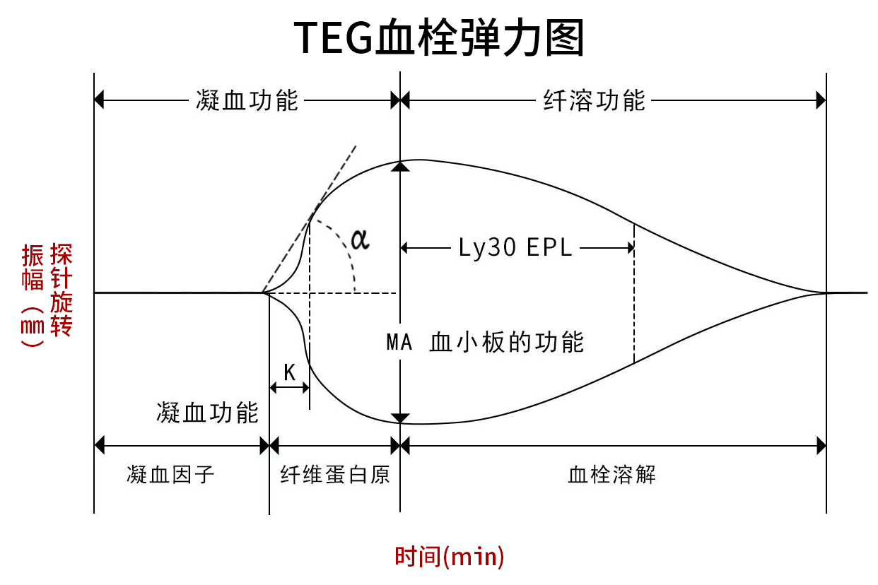 颞肌筋膜在哪个部位图片