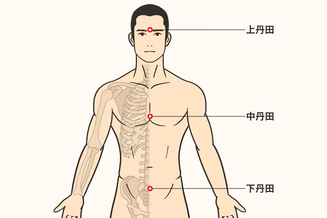上丹田，中丹田，下丹田的位置图
