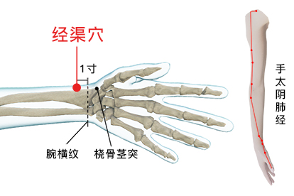 手上的止咳点准确位置图片