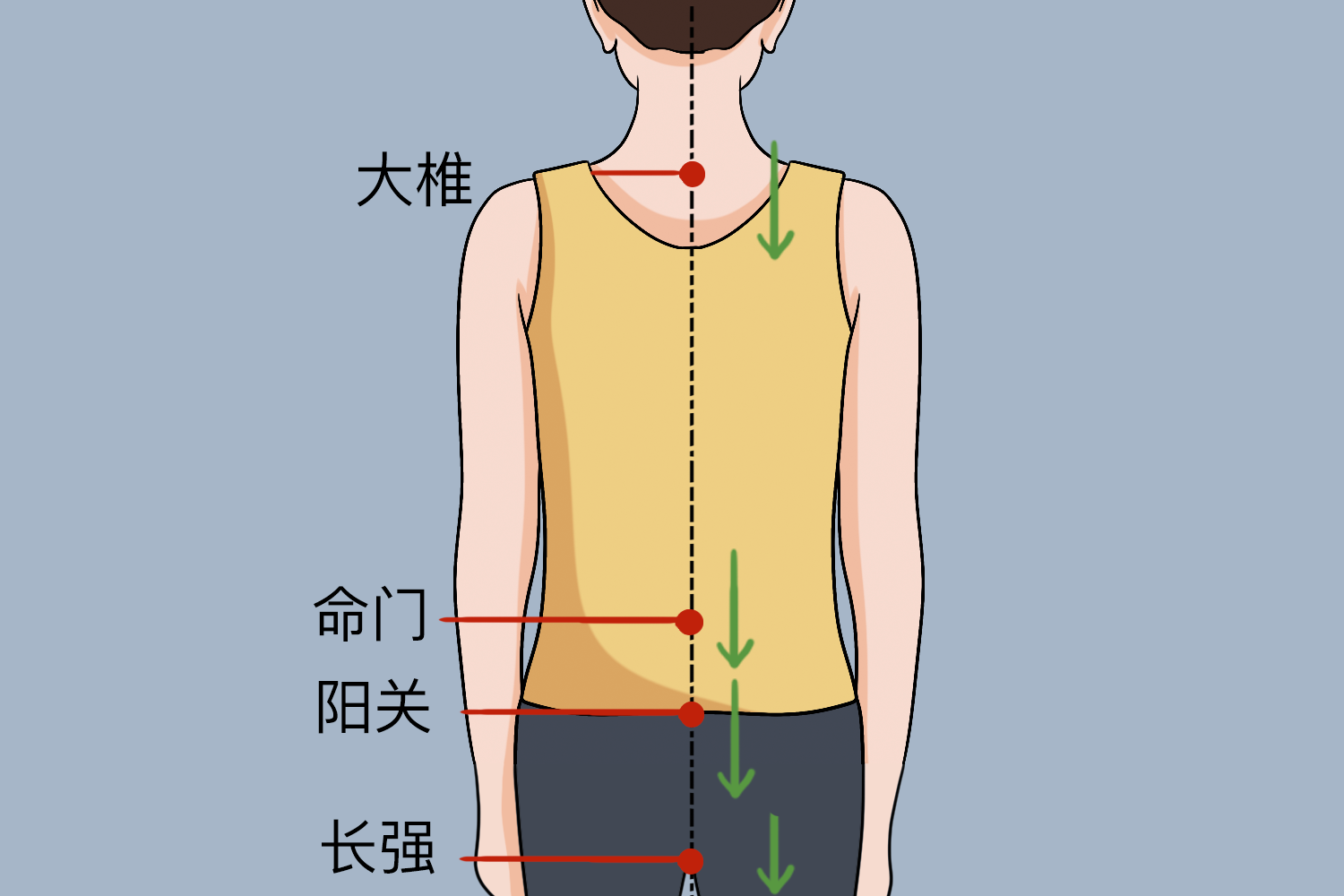 后背刮痧出痧位置图解 | 百度健康·医学科普