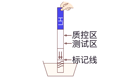 排卵试纸怎么看是排卵期图片