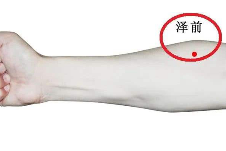 泽前的准确位置图和作用 | 百度健康·医学科普