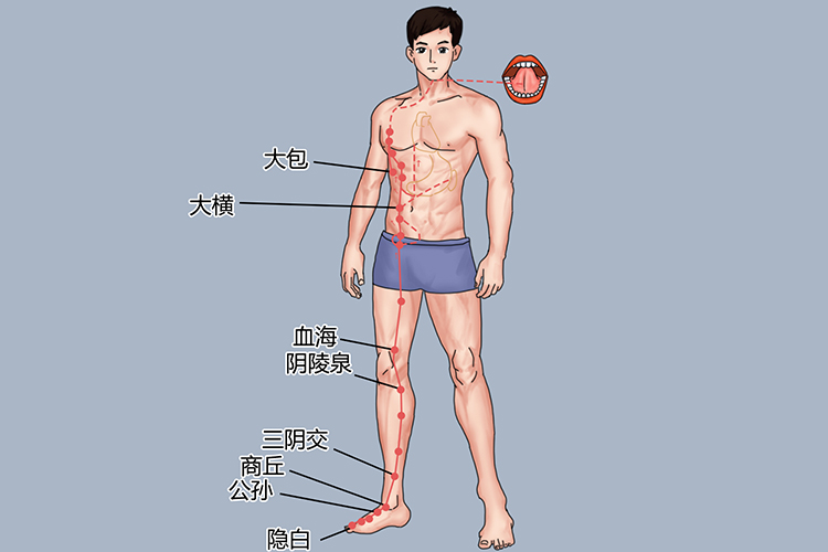 足太阴脾经图