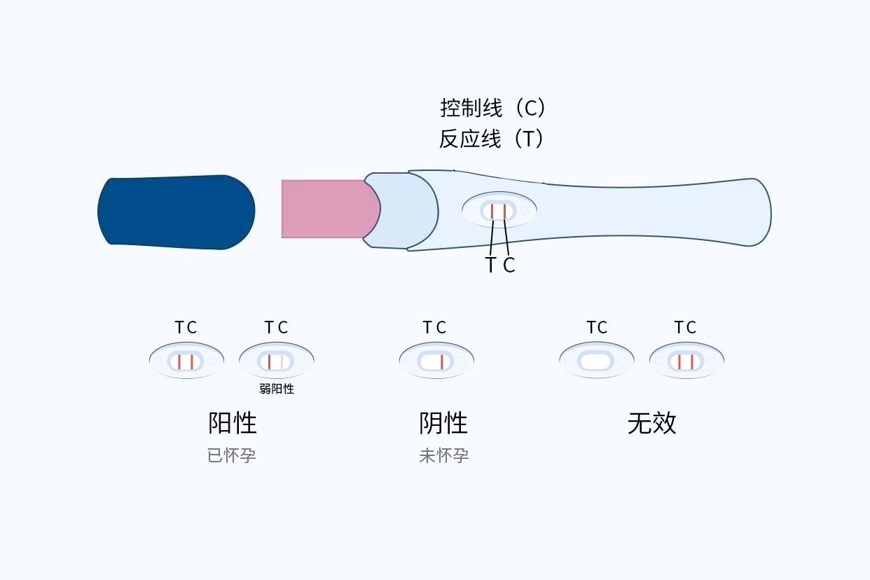 验孕棒测试结果图片