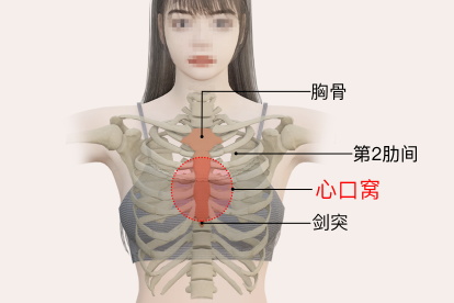 心口窝位置图片