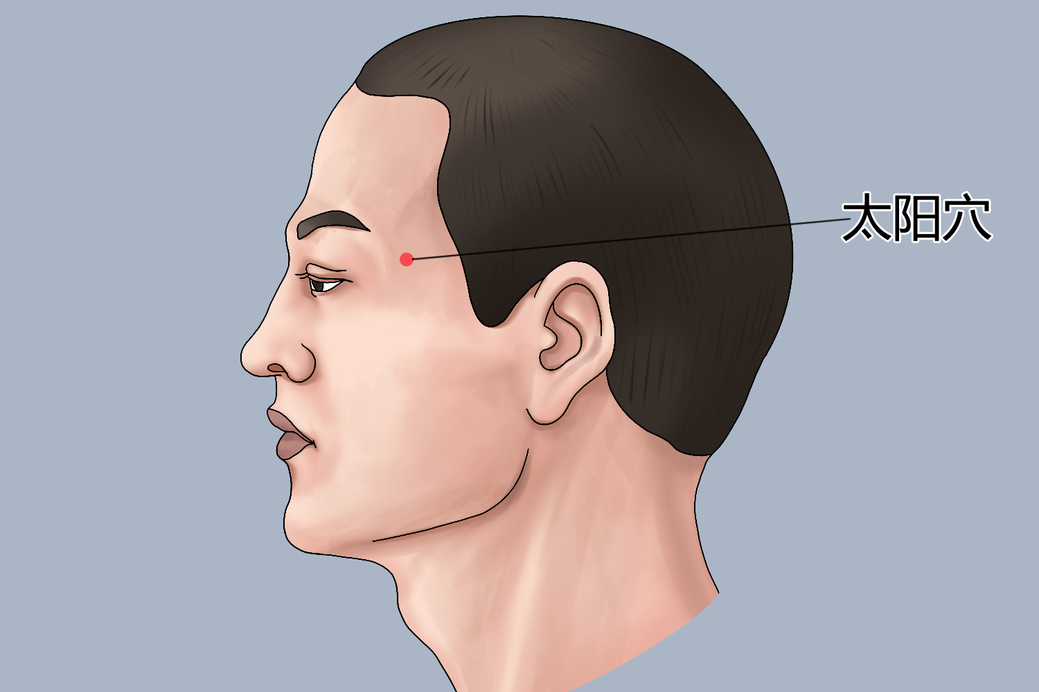 太阳穴位置图