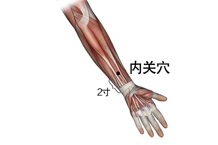 内关的位置