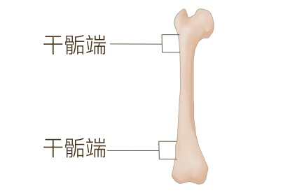 长骨干骺端图