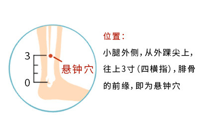 悬钟的准确位置图片怎么找 | 百度健康·医学科普