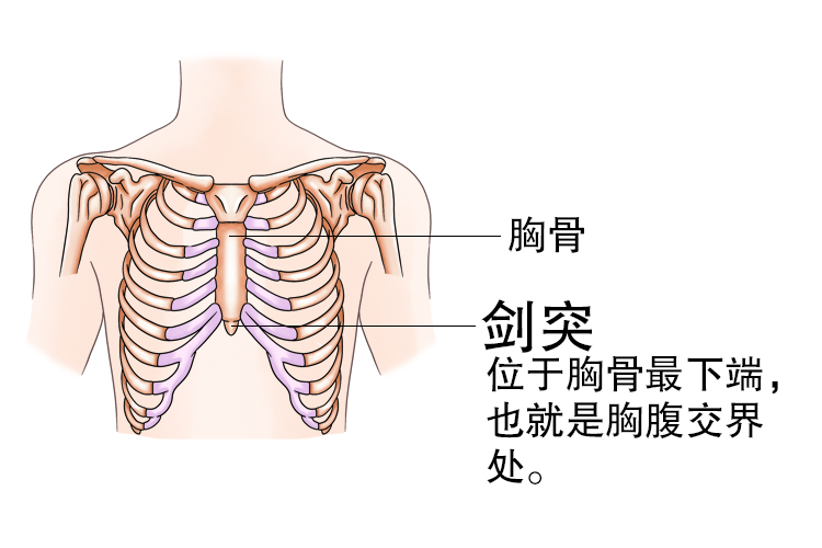 剑突图片