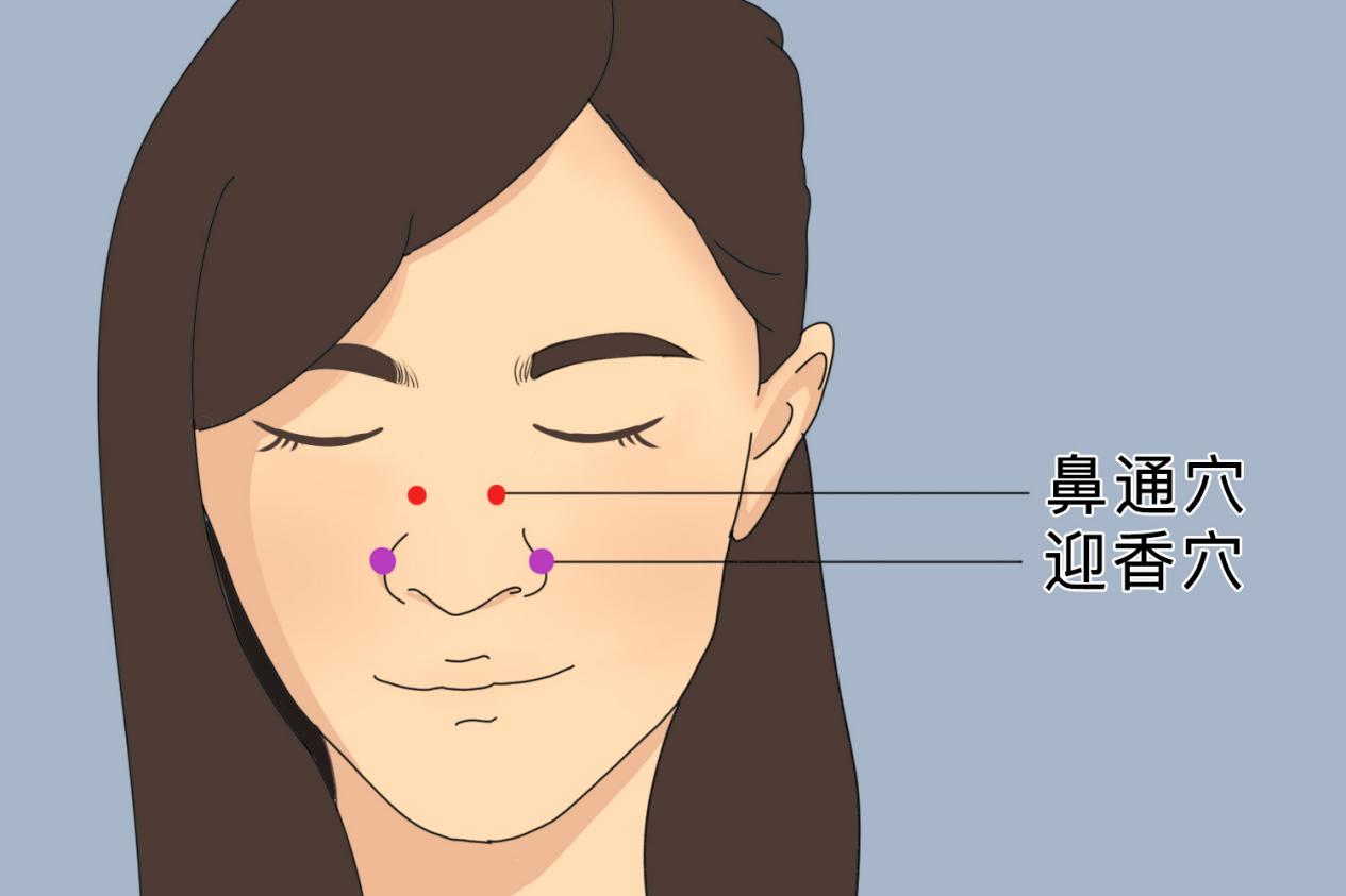 迎香和鼻通穴位置图