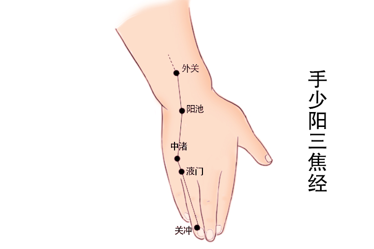 无名指经络图